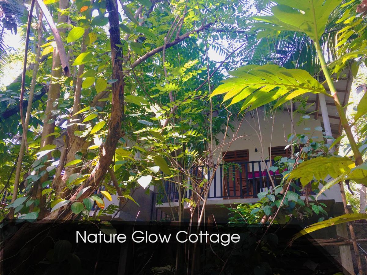 Nature Glow Cottage Udawalawe Dış mekan fotoğraf