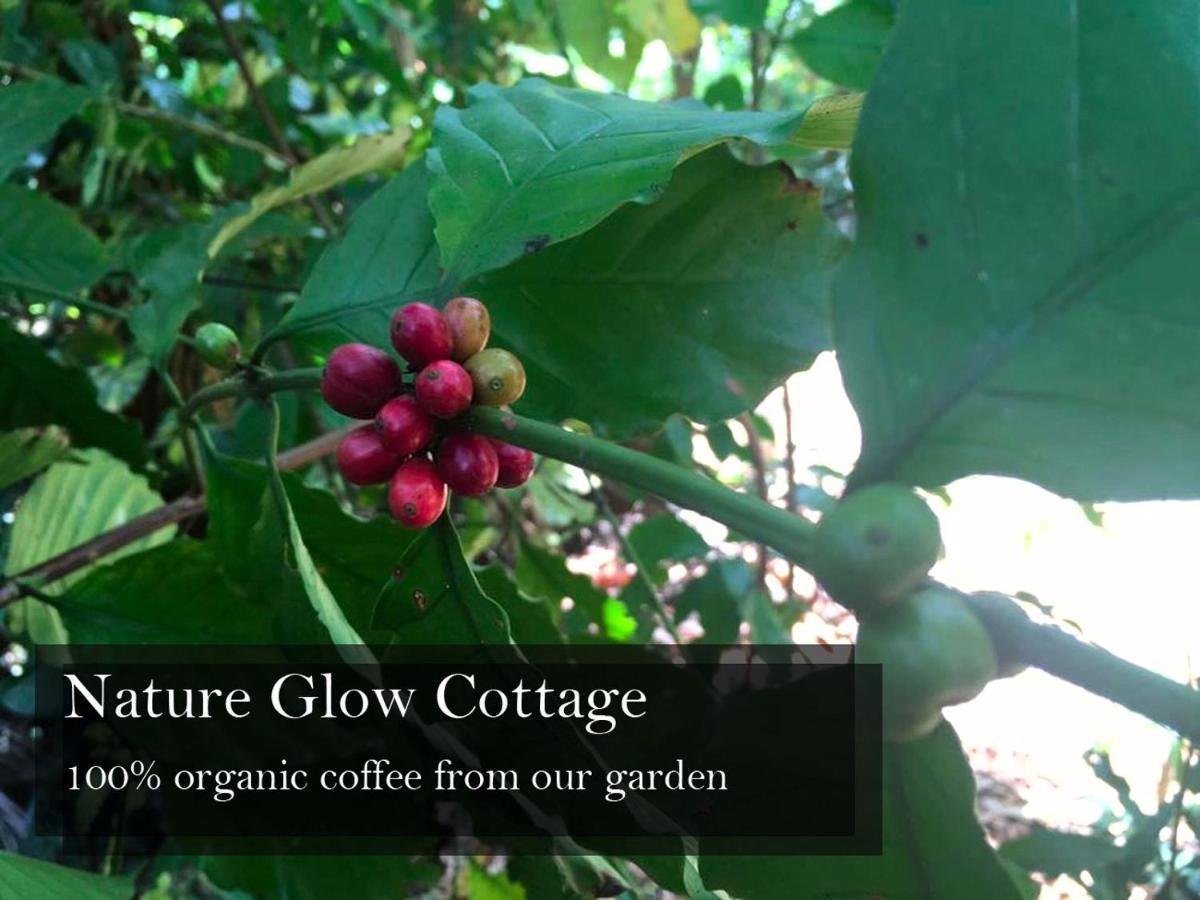 Nature Glow Cottage Udawalawe Dış mekan fotoğraf