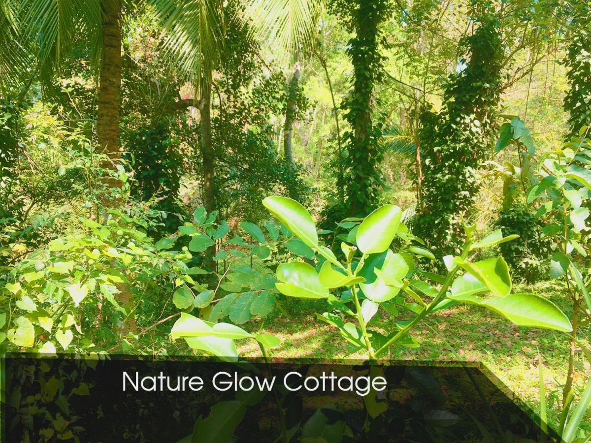 Nature Glow Cottage Udawalawe Dış mekan fotoğraf