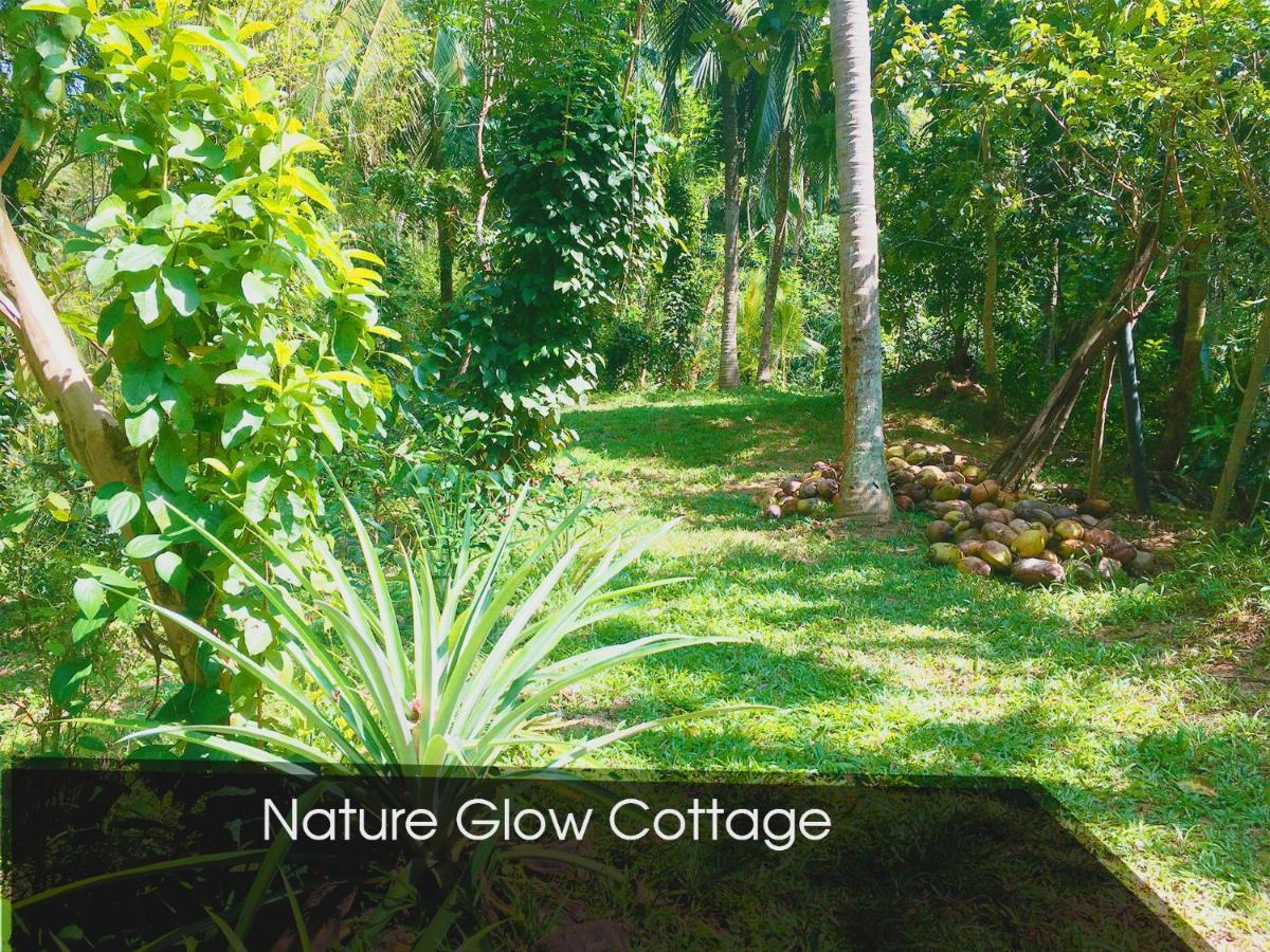 Nature Glow Cottage Udawalawe Dış mekan fotoğraf