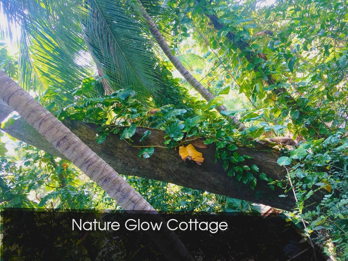 Nature Glow Cottage Udawalawe Dış mekan fotoğraf