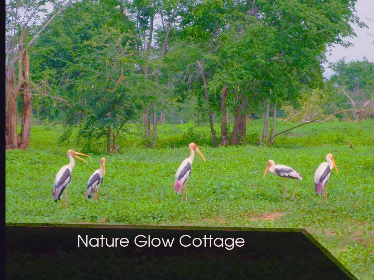 Nature Glow Cottage Udawalawe Dış mekan fotoğraf